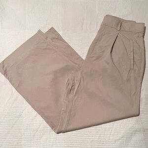Everlane Way-High Draper Pant (Short)